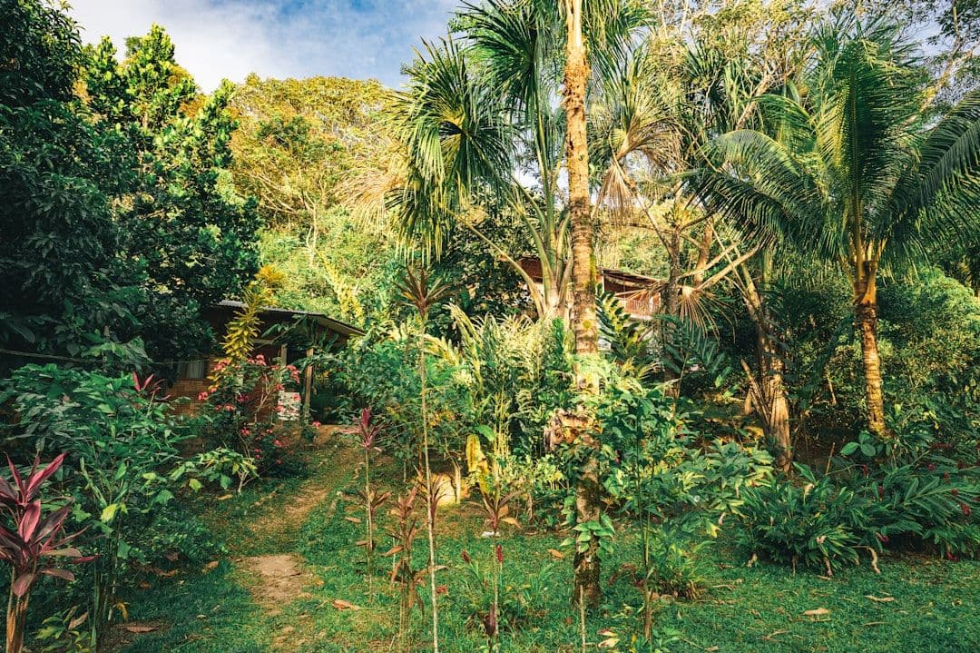 Header image for How to Design an Eco-Friendly Home Garden: Sustainable Planting Tips