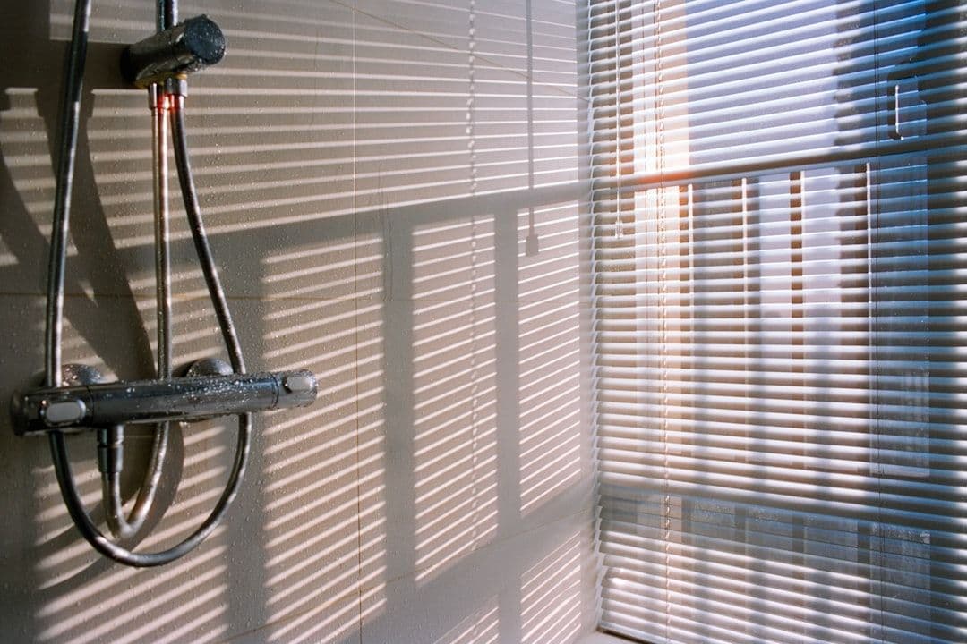 Header image for Proactive Steps to Prevent Bathroom Mold Growth